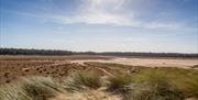 Holkham Beach