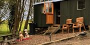 North Norfolk Glamping - mYminiBreak