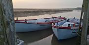 Bishops Boats - Seal Trips