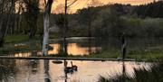North Norfolk Glamping - mYminiBreak