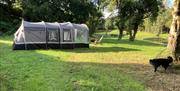 North Norfolk Camping - mYminiBreak