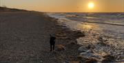 Norfolk Coastal Cottages - mYminiBreak