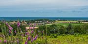 Kelling Heath View