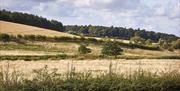 The Great East Barn @ Barsham Barns