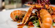 Seafood at The Garden Rooms, The Grove