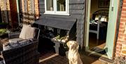 Norfolk Accommodation - mYminiBreak