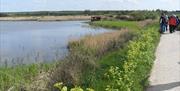 RSPB Titchwell