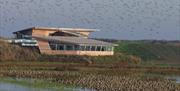 RSPB Titchwell