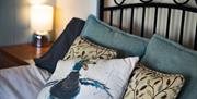 Norfolk Accommodation - mYminiBreak