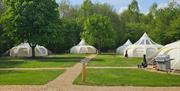 Stargazer Bell Tent Village at Deer's Glade