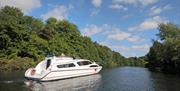 Holiday Charter Cruiser the Statesman cruising up river in the Norfolk Broads