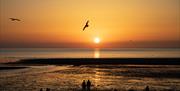 Norfolk Accommodation - mYminiBreak
