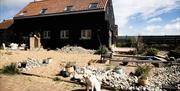 Norfolk Coastal Cottages - mYminiBreak