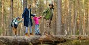 Go Wild Camping Thetford - mYminiBreak