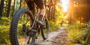 Go Wild Camping Thetford - mYminiBreak