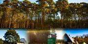 Go Wild Camping Thetford - mYminiBreak