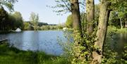 North Norfolk Camping - mYminiBreak