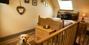Norfolk Accommodation - mYminiBreak