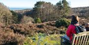 National Trust West Runton & Beeston Regis Heath
