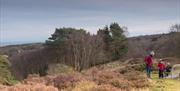 National Trust West Runton & Beeston Regis Heath