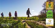 Deepdale Camping & Rooms on the beautiful North Norfolk Coast