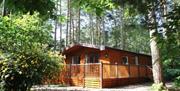 Kelling Heath Woodland Lodge