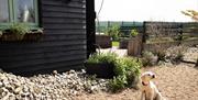 Norfolk Coastal Cottages - mYminiBreak