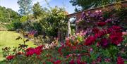 Mannington Hall and Gardens North Norfolk