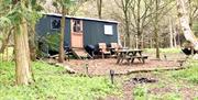 North Norfolk Glamping - mYminiBreak