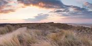 NWT Holme Dunes