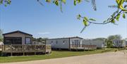 Pinewoods Holiday Park, north Norfolk