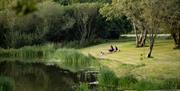 North Norfolk Glamping - mYminiBreak