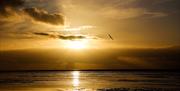 Norfolk Coastal Cottages - mYminiBreak