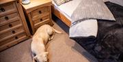 Norfolk Coastal Cottages - mYminiBreak