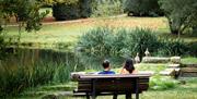 Go Wild Camping Thetford - mYminiBreak