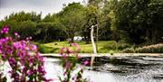 North Norfolk Glamping - mYminiBreak