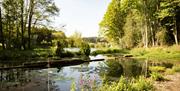 North Norfolk Glamping - mYminiBreak