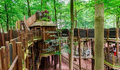 Bewilderwood Treehouse in North Norfolk