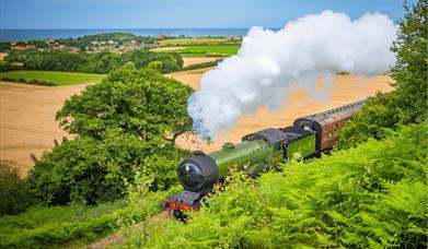 Train at Kelling Heath