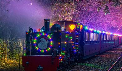 Noel Night Train