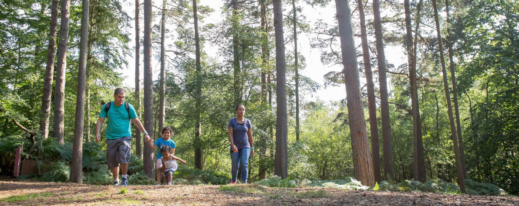 Family Walking in the Forest