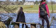 Visitors walking their dogs on the estate at Felbrigg Hall, Gardens and Estate, Norfolk