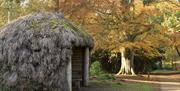 The rustic Ling House, a thatched hut by a path in the woods at Sheringham Park, Norfolk