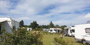 Tents, campervans & motorhomes all welcome at Deepdale Camping & Rooms