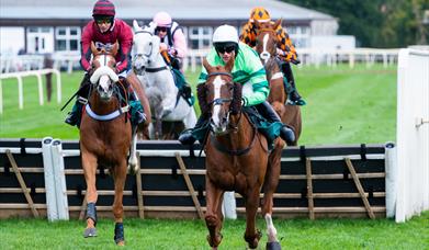 Horses racing at Fakenham Racecourse