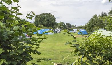 Baconsthorpe Meadows Campsite