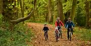 A family cycle on the multi-use trail at Blickling Estate National Trust Images John Millar
