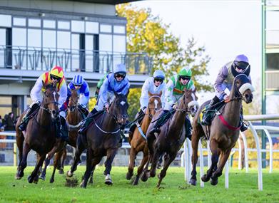 Faulkingham Races Fakenham Racecourse - Racecourse in Fakenham, Fakenham - North Norfolk