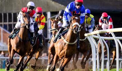 Horses racing round the corner at Fakenham Racecourse