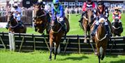 Horses and jockeys safely over a hurdle at Fakenham Racecourse